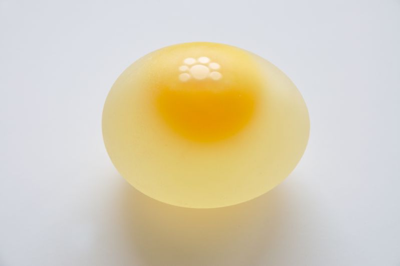 Un œuf à moitié nu, qui a juste besoin que la coquille soit lavée