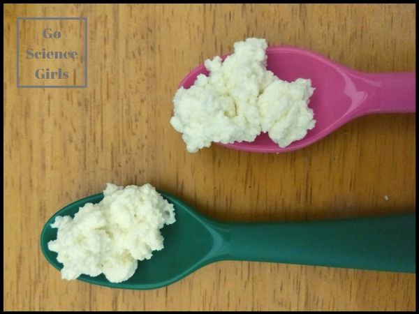 Curds and Whey Kitchen Science for Kids