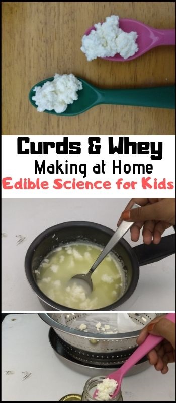 How to make curds and whey edible science for kids