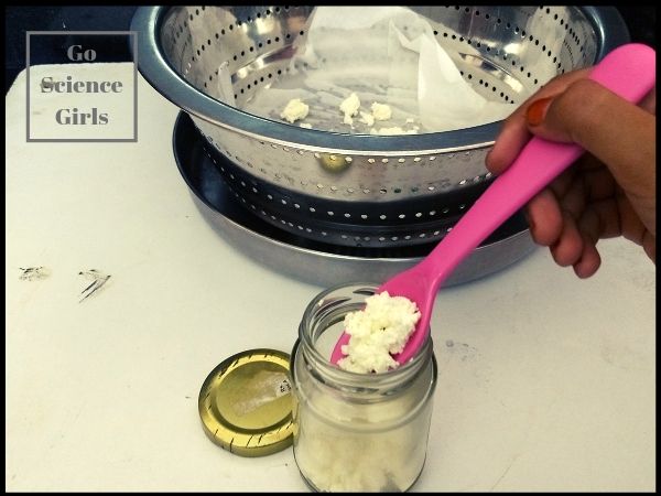 Making Curds and Whey Kitchen Science for Kids