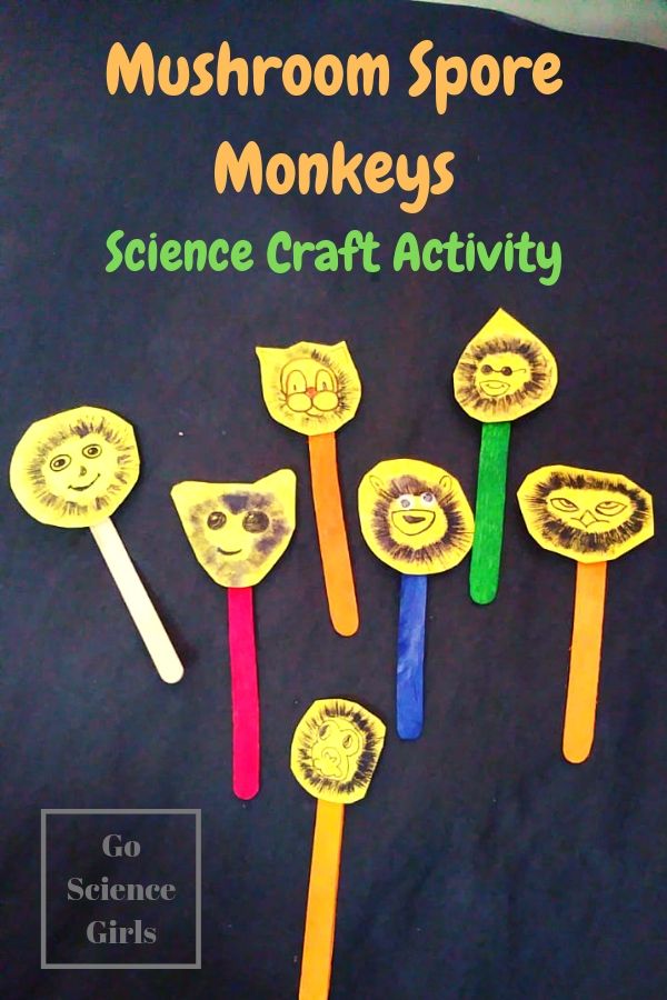 Mushroom monkeys! Cute science craft for kids, where kids can learn about mushroom biology and spore prints