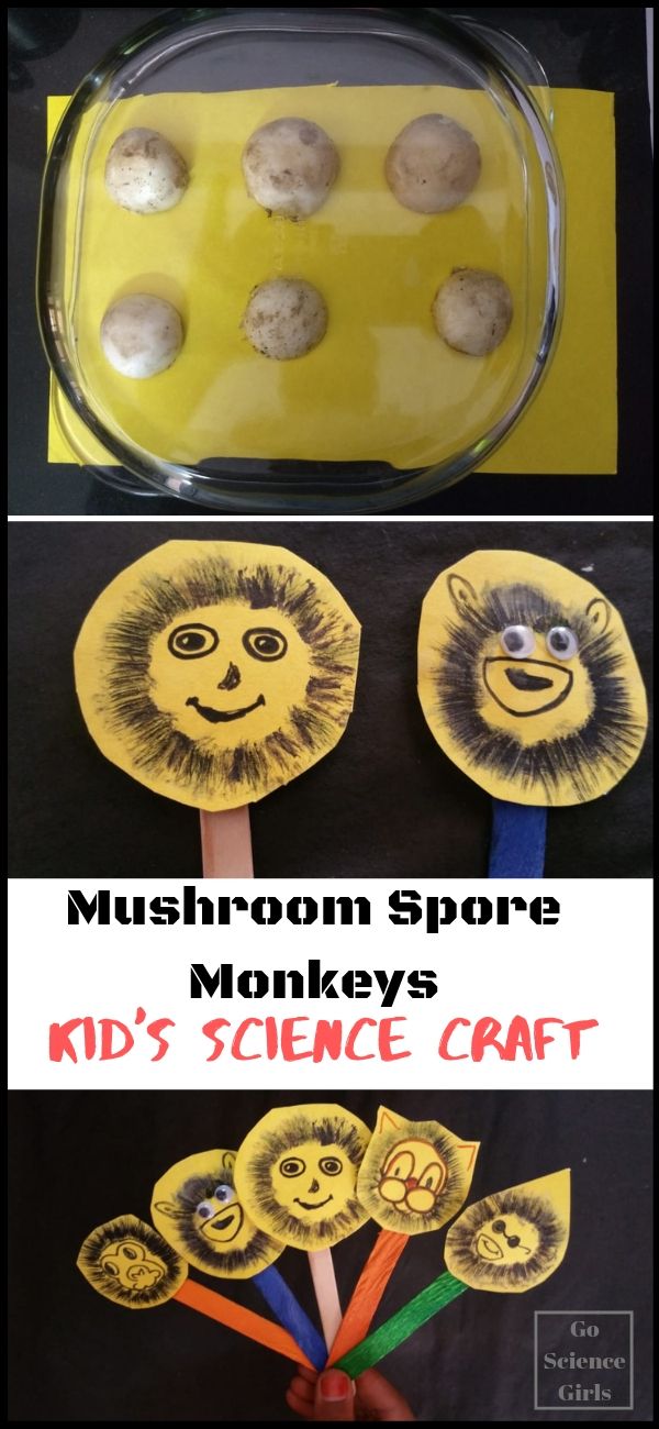 Mushroom monkeys! Cute science craft kids can make & learn about mushroom biology and spore prints