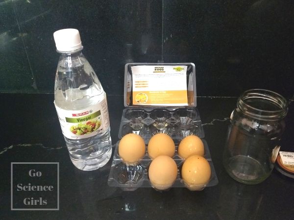 transparent egg experiment ingredients