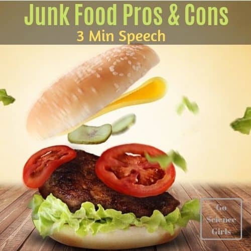 Junk Food Pros Cons 3 minute speech essay