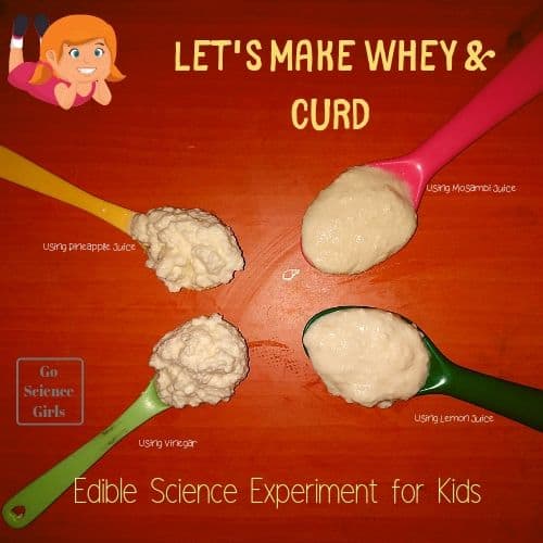 Lets Make Whey Curd edible science experiment for kids