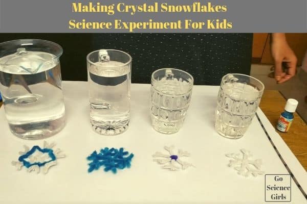 Making Crystal Snowflakes Science Experiment For Kids