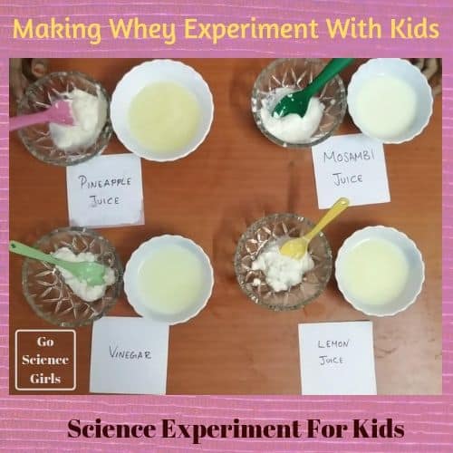 Making whey Experiment with kids