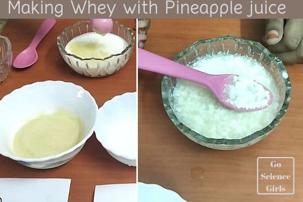 Making whey with pineapple juice