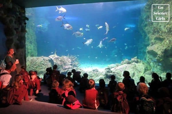 Sydney Aquarium with kids