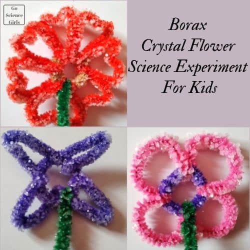 Crystal flowers made from red, green, purple, and pink pipe cleaner, and borax powder, and water.