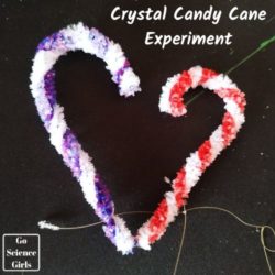 Can You Make a Crystal Candy Cane? (Christmas Science Project)
