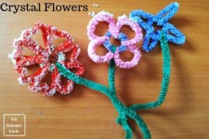 Crystal Flowers For Kids Go Science Girls