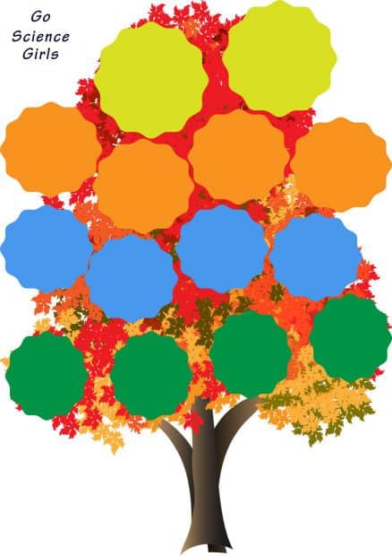 colorful family tree