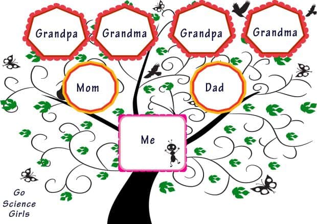 3 generation family tree template printable