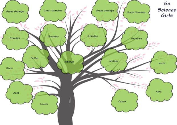 family tree template with siblings and cousins