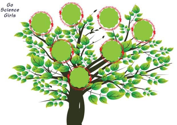 Family Tree Template For Kids (15+ Designs Showing 3 & 4 Generations ) - Go  Science Girls