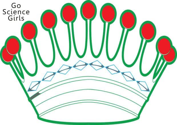 kiddie crown template