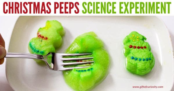Christmas peep solubility experiment 