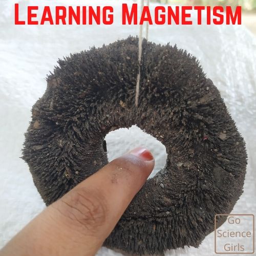 Five Ways Magnets To Use In School - FIRST4MAGNETS®, BLOG