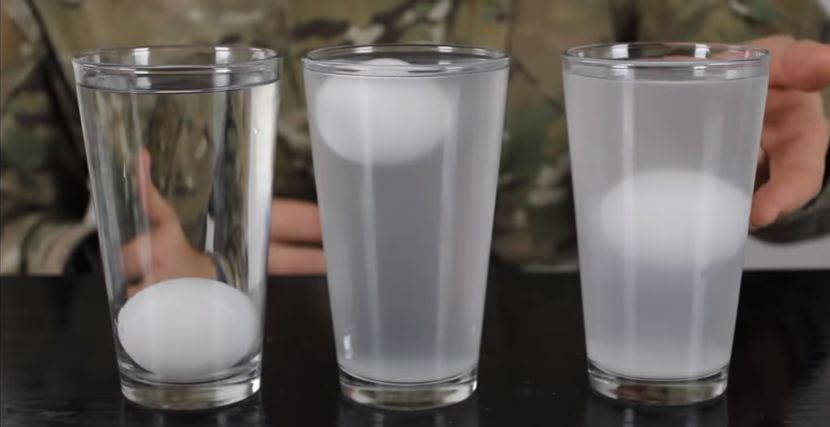 egg experiment with different liquids