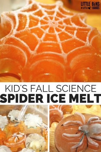 Kids fall science - spider ice melt 