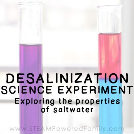 Desalinization science experiment