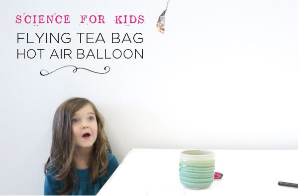 Flying Tea Bag - Hot Air Balloon