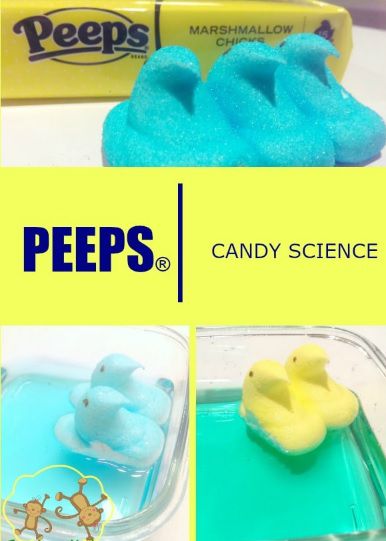 Peep Science Activities