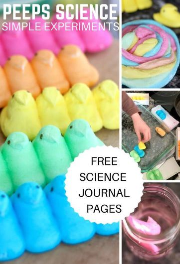 Peeps Candy Science Experiments for PreSchoolers