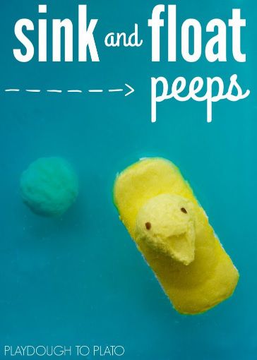 Sink or Float Peep Science Experiment