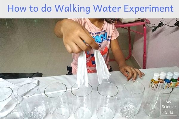 water walk science experiment