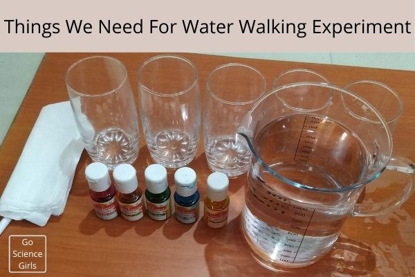 water walk science experiment