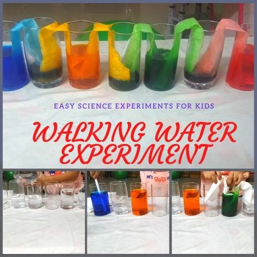 42 Science Experiments With Water Top Educational Blog