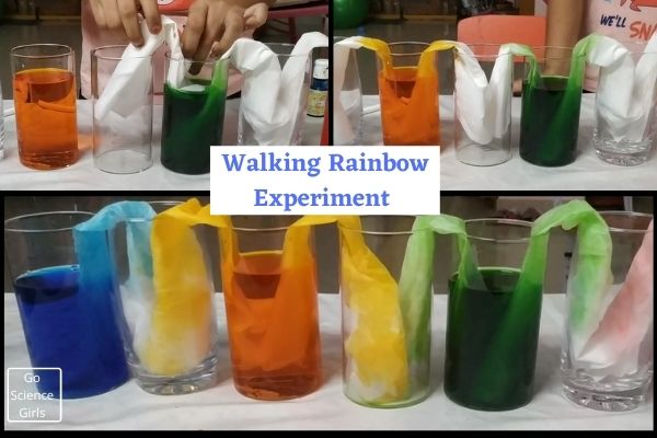 water walk science experiment