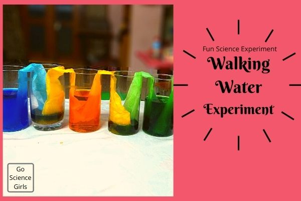 walking-water-experiment-teach-capillary-action-to-kids