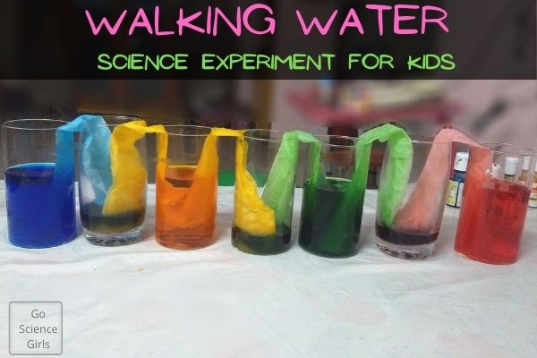 Walking Water Science Experiment for Kids