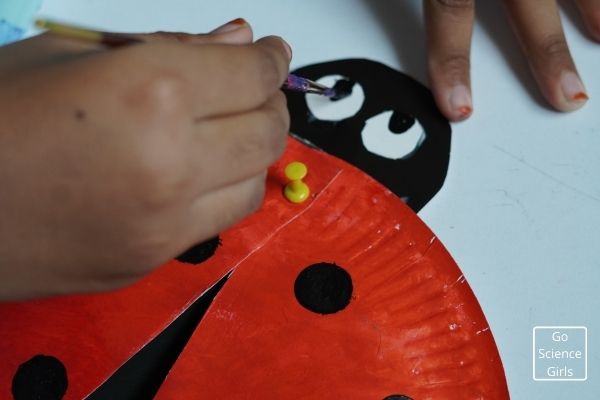 Cut and paint ladybug eyes