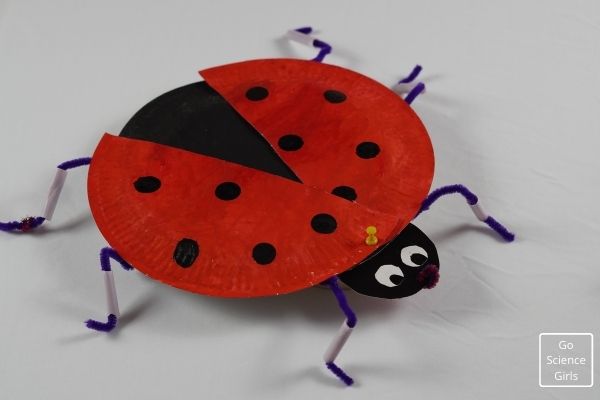 Ladybug paper craft for kids