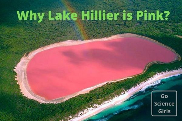 Why Lake Hiller is Pink