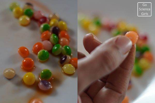 Color Seperated Skittles
