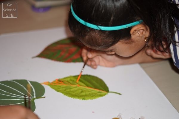 Coloring Veins Activity For Kids
