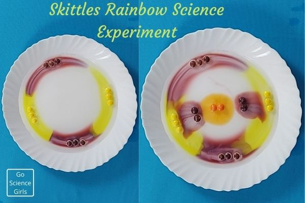 skittles rainbow experiment in different ways like shapes  patterns 