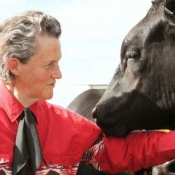 Dr. Temple Grandin – Inventor, Educator and Autism Activist