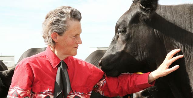 Dr Temple Grandin - STEM Women