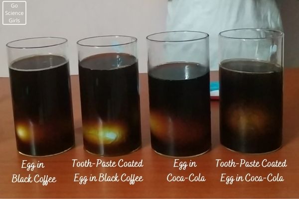 the egg experiment teeth