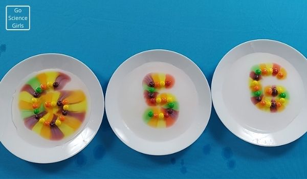 Fun Science Experiment For Kids
