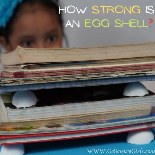 How Strong is an Egg Shell