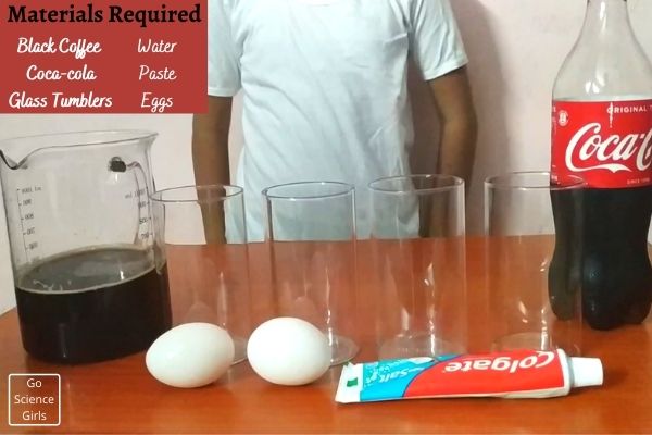 Material Required For Egg And Toothpaste Experiment