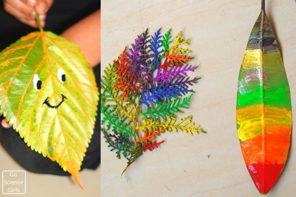 Tracing Veins of Leaves - Kids Painting activity