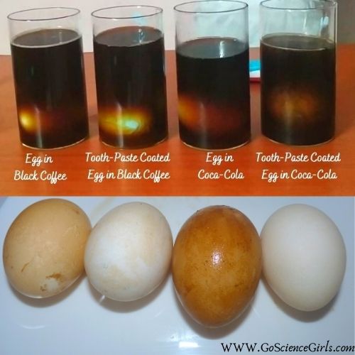 Science Behind The Egg and Toothpaste Activity